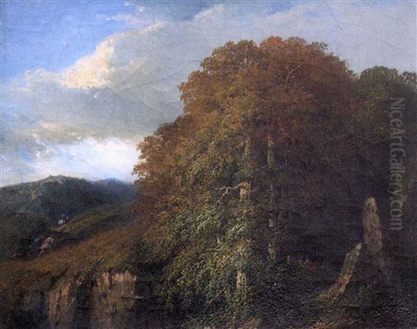Paysage - view 1
