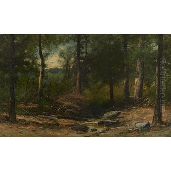 Woodland Stream - view 1