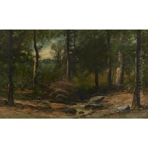 Woodland Stream by Christopher H. Shearer