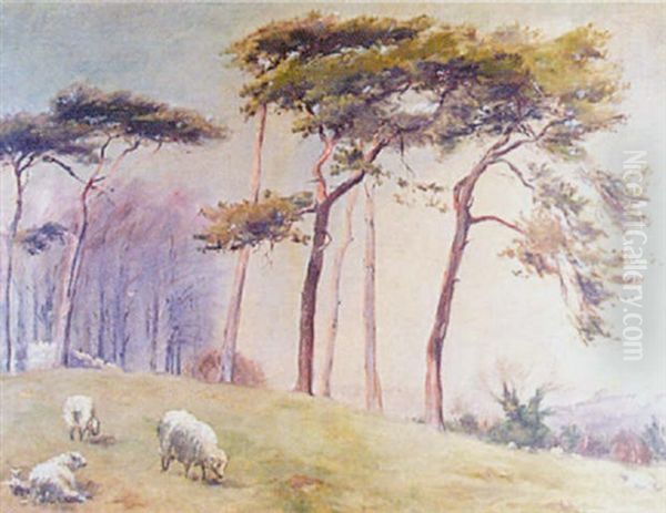 Sheep In A Landscape - view 1