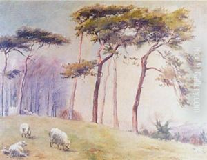 Sheep In A Landscape by Henry Inglis Jodriel Sheldon-Williams