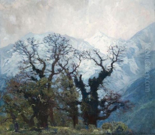 Vue Du Massif De Meran, Allemagne - view 1