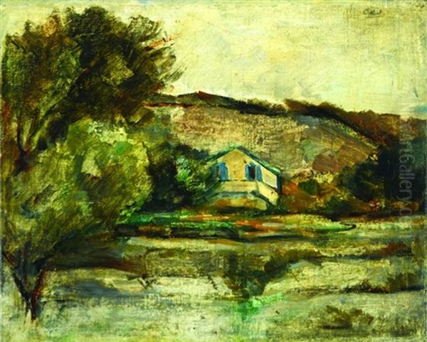 House - view 1