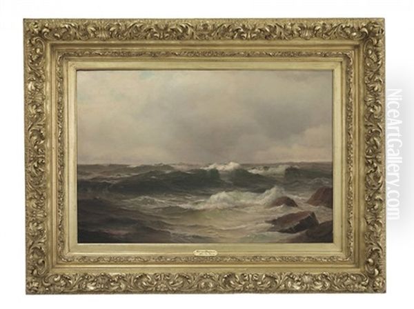 After The Storm - view 1
