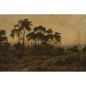 Near Oxshott, Surrey by Daniel Sherrin
