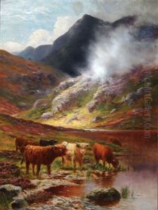 Scottish Highland Cattle Scene by Daniel Sherrin