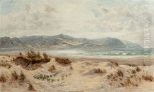Dunes On A Welsh Coast Dunes On A Welsh Coast