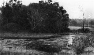 The Grenadier Pond, High Park, Toronto