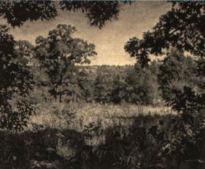 Through The Trees by William Anderson Sherwood
