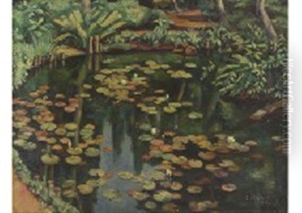Lotus Pond - view 1
