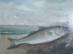 A Fish On The Shore A Fish On The Shore