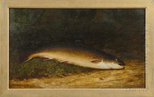 Brown Trout With Fly. by Walter M. Brackett