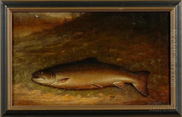 Brown Trout With Fly - view 1