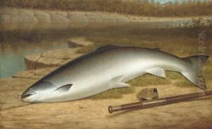 The Big Catch - A Salmon On A River Bank