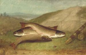 Catch Of The Day - Trout On A Riverbank