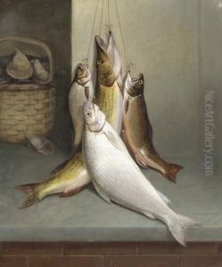 Catch Of The Day Catch Of The Day