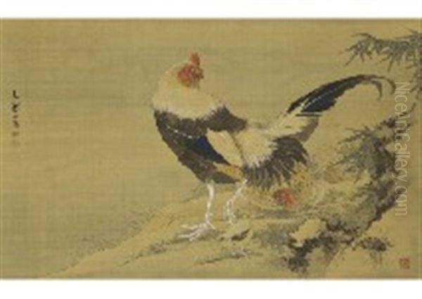 Bird - view 1