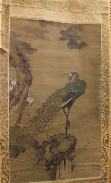 Peacock In A Landscape - view 1