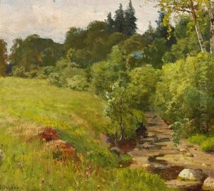 Russian Summer Landscape At Ostrovki Near The Neva River