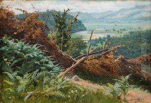 Lush Landscape by Iwan Iwanowicz Shishkin