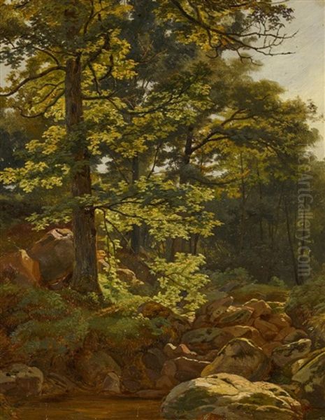 Waldlandschaft Mit Bachlauf - view 1