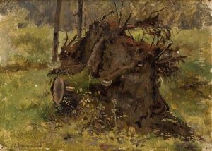 Uprooted Stump In A Forest