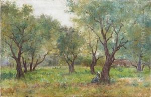 Resting Under The Olive Trees