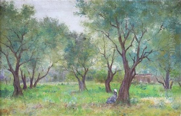 Resting Under The Olive Trees - view 1