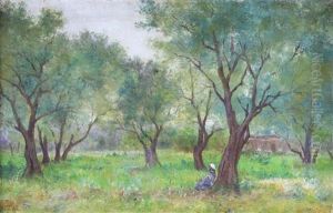 Resting Under The Olive Trees