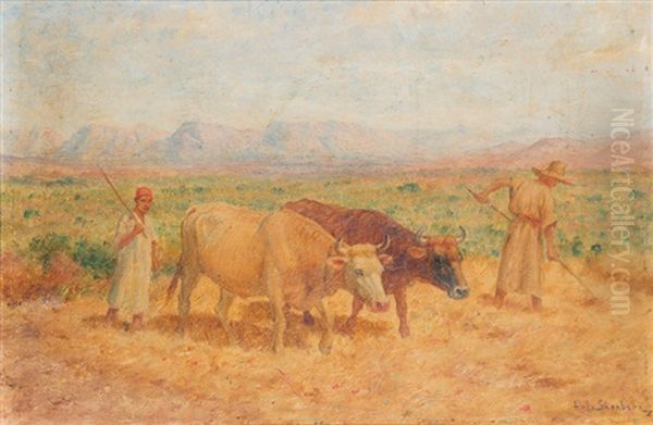 Scene De Labour En Algerie - view 1