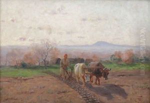 Scene De Labours En Kabylie