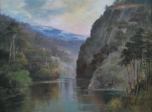 Transcendence Reach, Franklin River, Tasmania - view 1