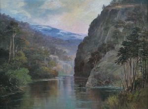 Transcendence Reach, Franklin River, Tasmania