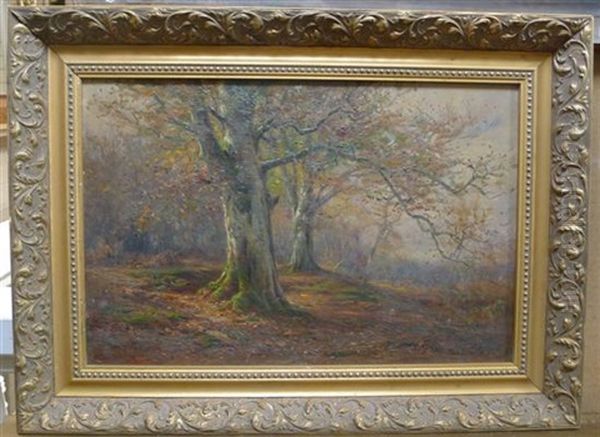 New Forest - view 1