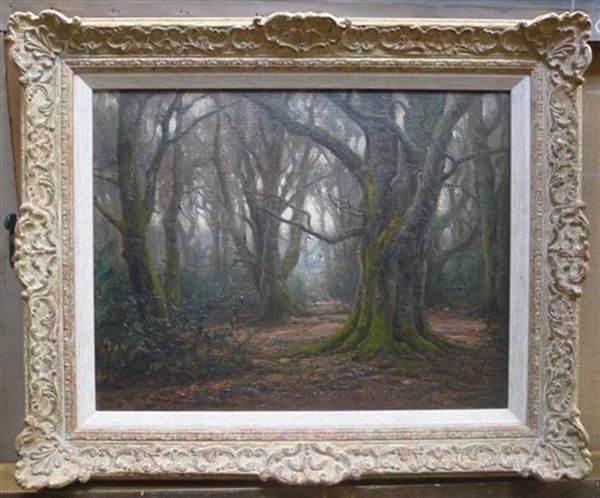 New Forest - view 1