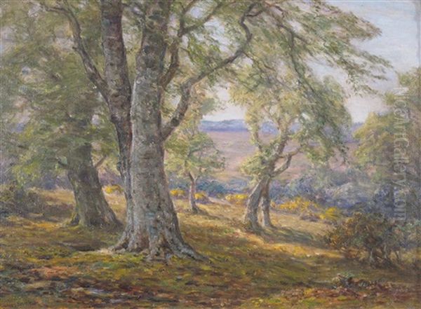 Spring In The New Forest - view 1