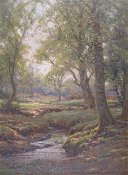 A New Forest Stream - view 1