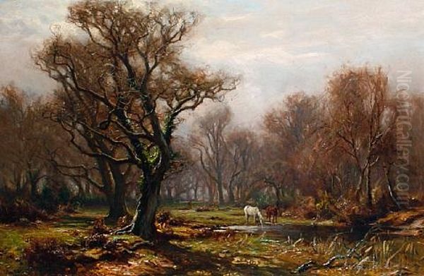 Horses Grazing By A Woodland Pool In The New Forrest - view 1
