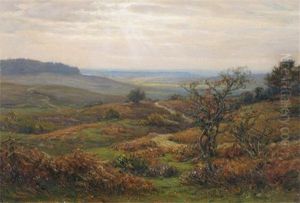 Near Burley In The New Forest by Frederick Golden Short