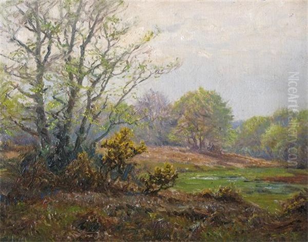 New Forest Scene - view 1