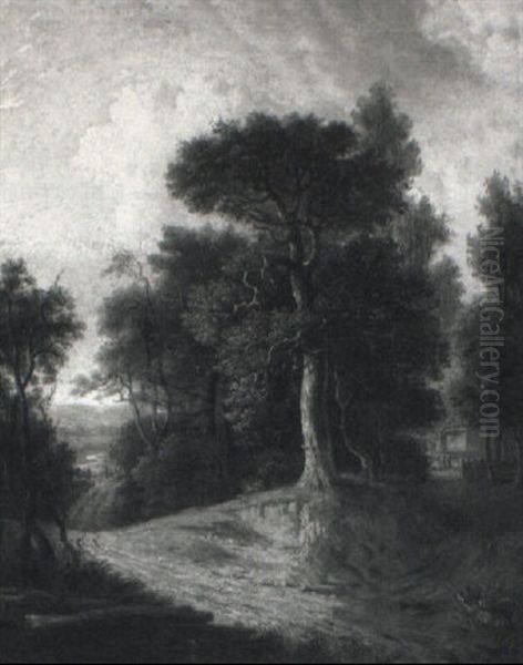 A Wooded Landscape - view 1