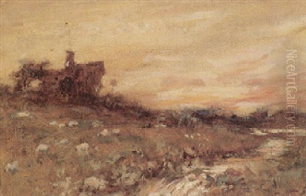 Abendliche Weidelandschaft Mit Schafen - view 1