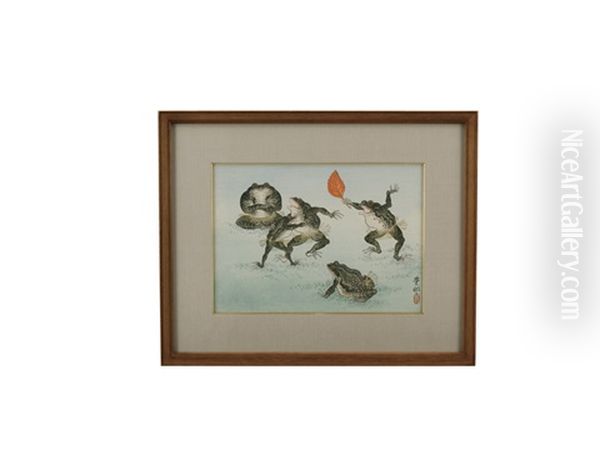 Frog - view 1