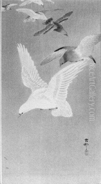 A Flight Of Doves - view 1