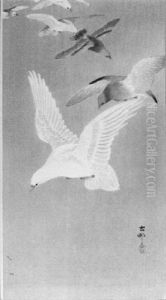 A Flight Of Doves by Ohara Shoson