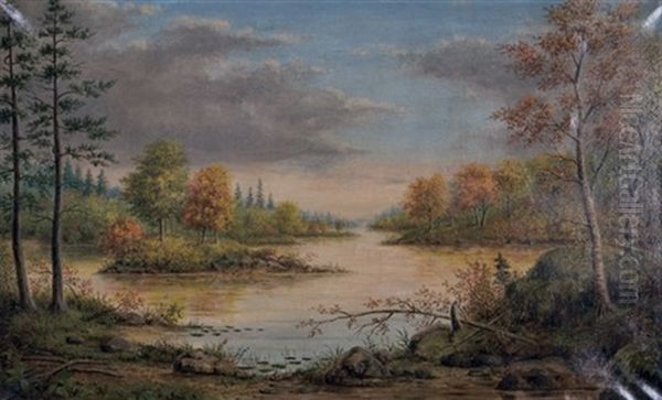 Northern Lake With Trees And Islands - view 1