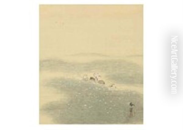 Trip - view 1