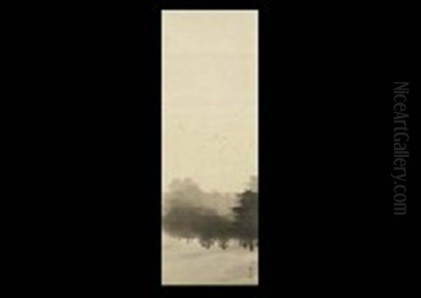 Forest In The Evening - view 1