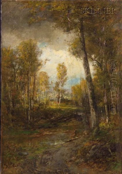 Late Afternoon In An Autumn Wood - view 1