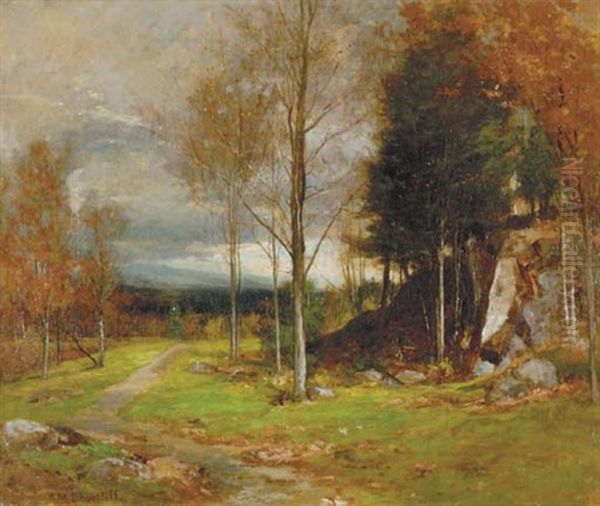 Approaching Storm - view 1
